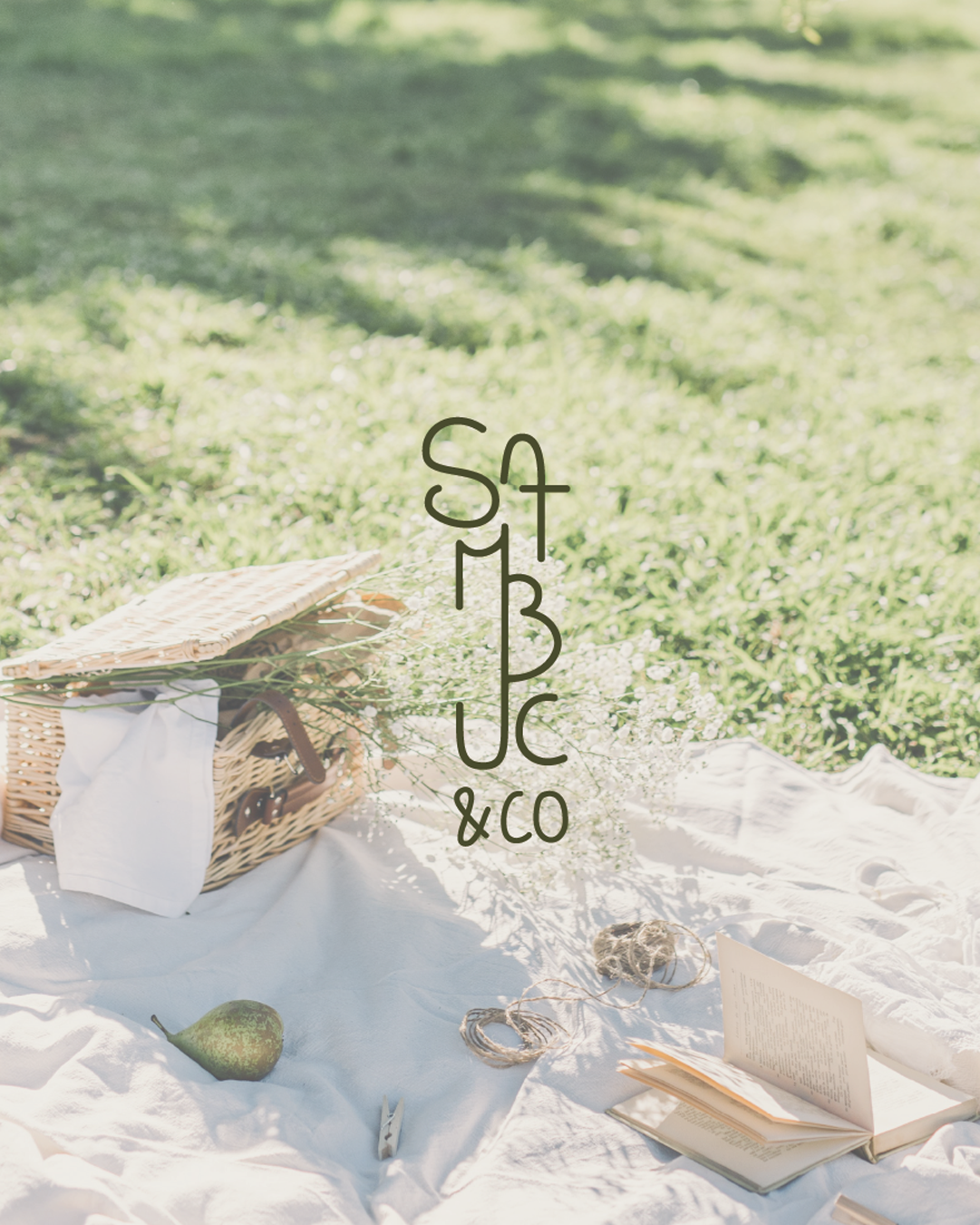 Logotype médiathèque de pouydesseaux