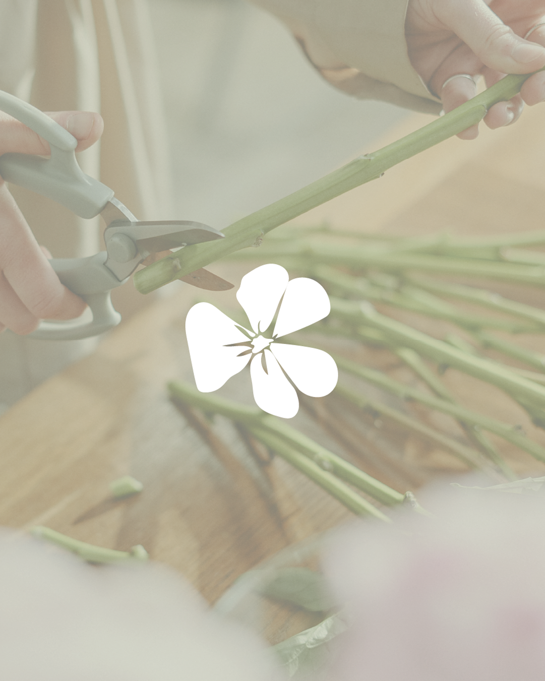 Mise en situation Logo avec PAO