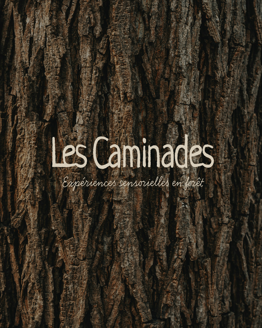 Logotype médiathèque de pouydesseaux