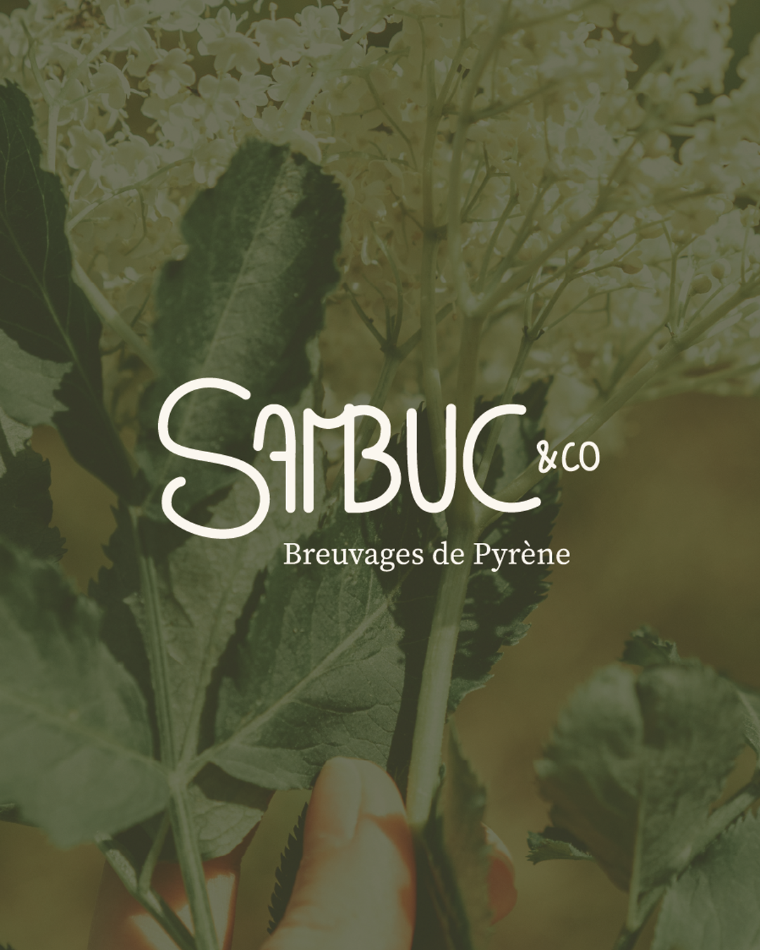 Mise en situation Logo avec PAO