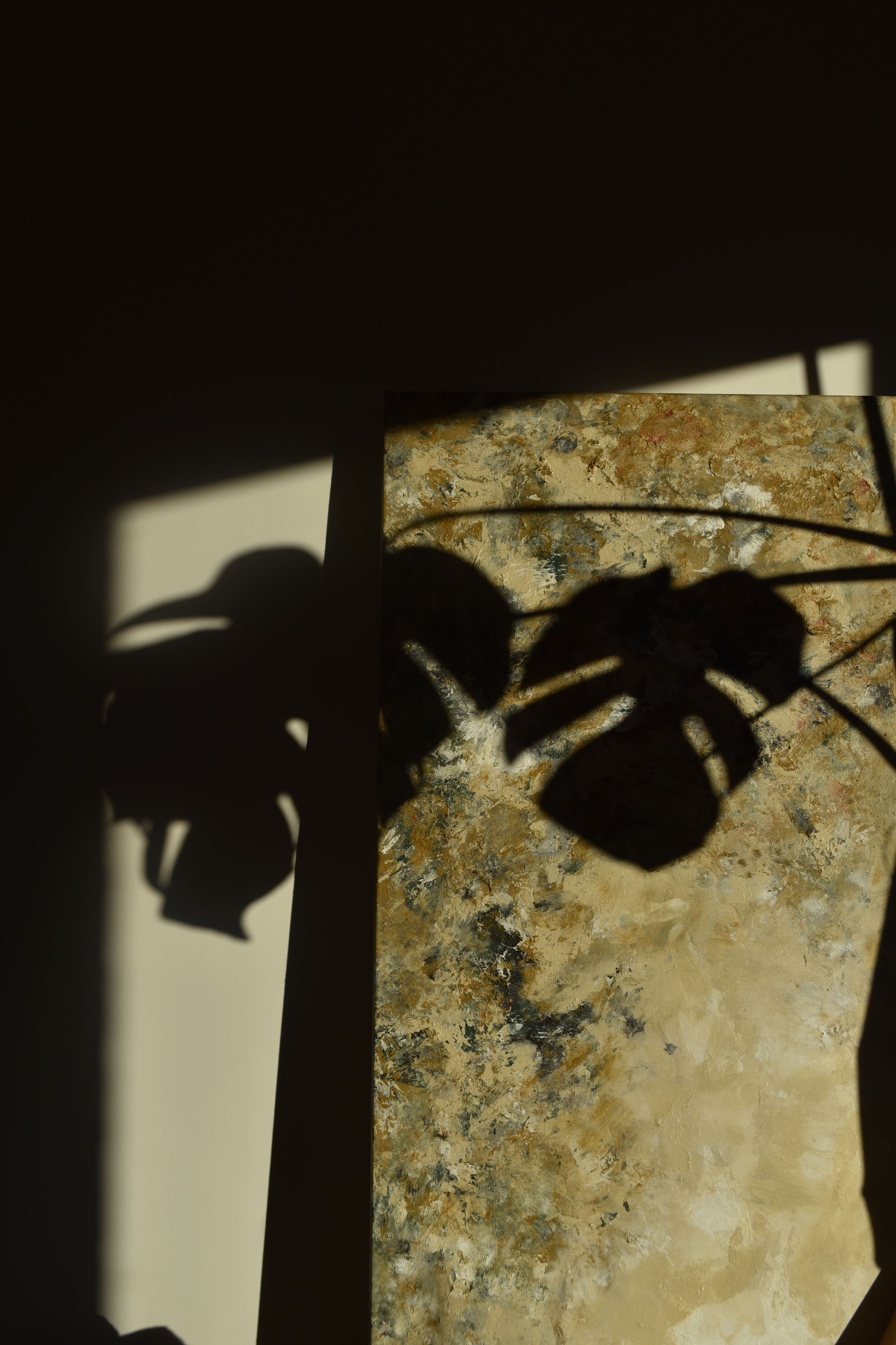 Photographie ombre plante naturel sur fond de tableau artistique